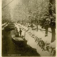 「新潟市西堀通の雪景」の画像