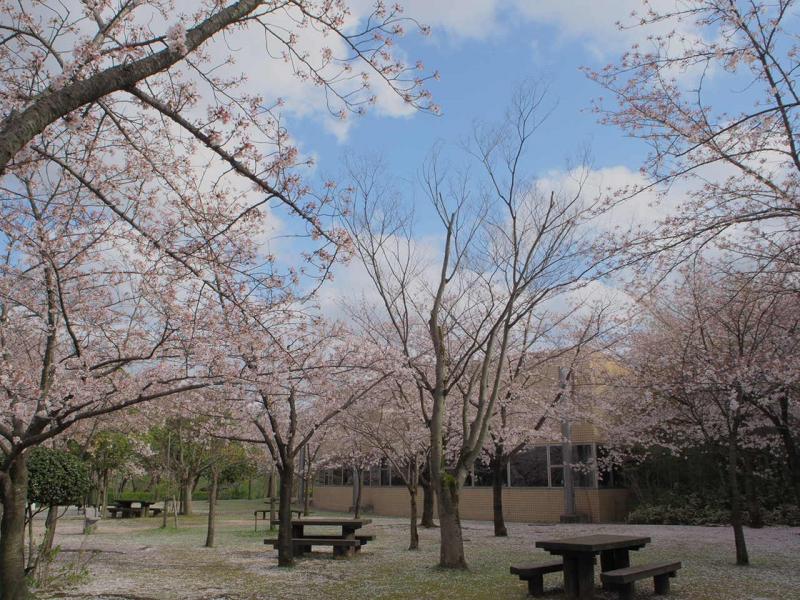 公園