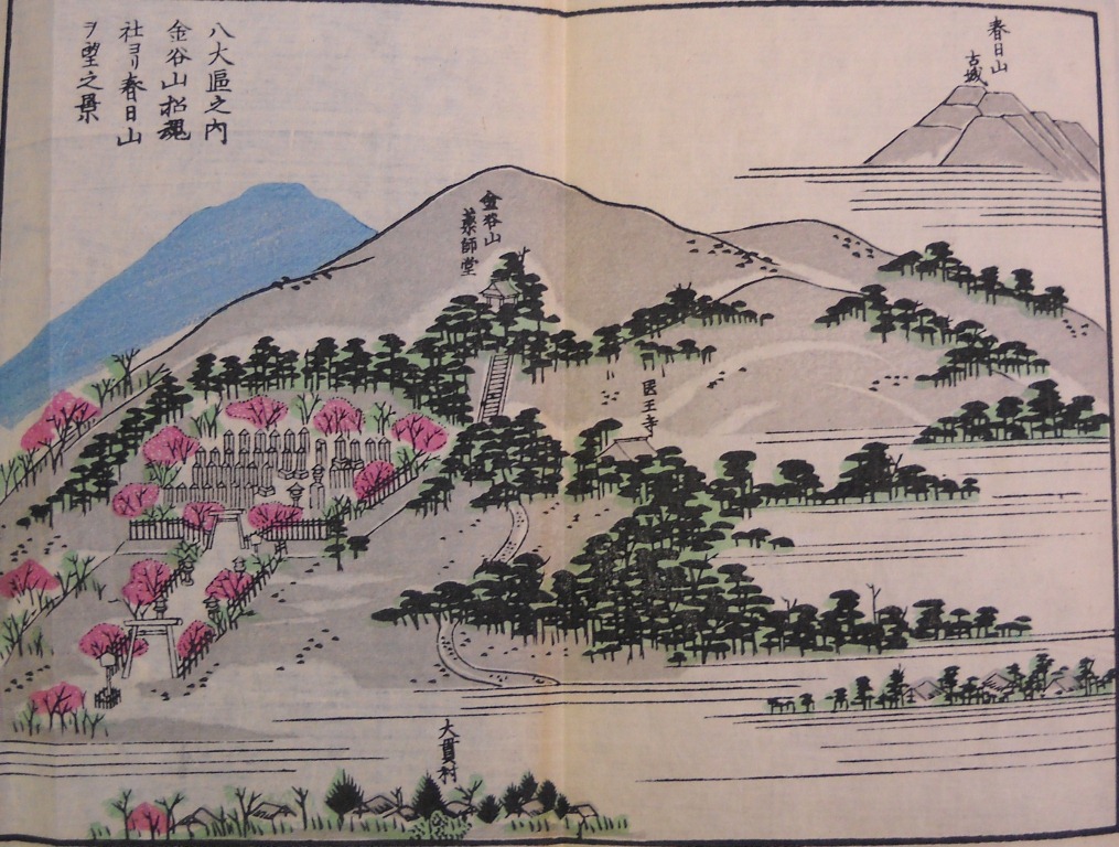 8大区・金谷山招魂社から春日山を望む景の画像
