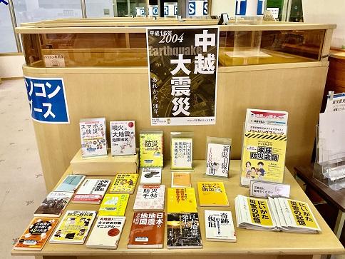 防災・減災プロジェクトにいがた