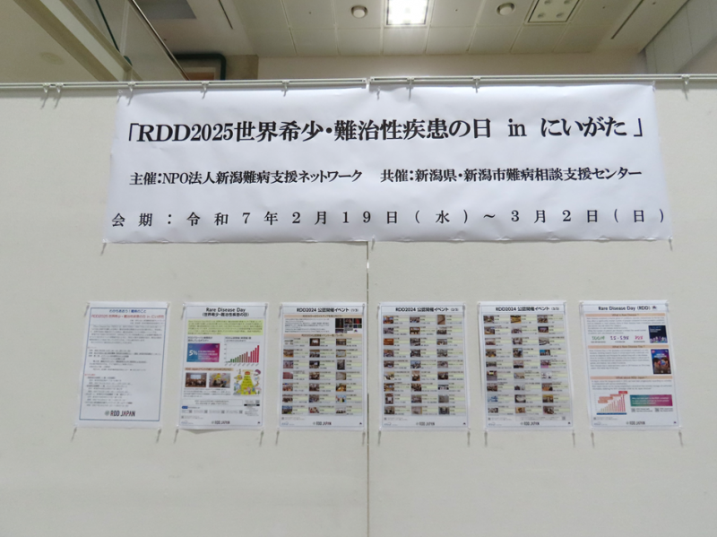 ギャラリー展示の様子です