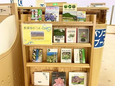 新潟春の花めぐり