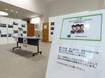 ギャラリー展示の様子です