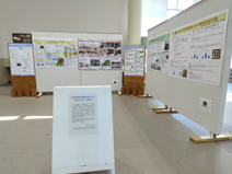 ギャラリー展示の様子です