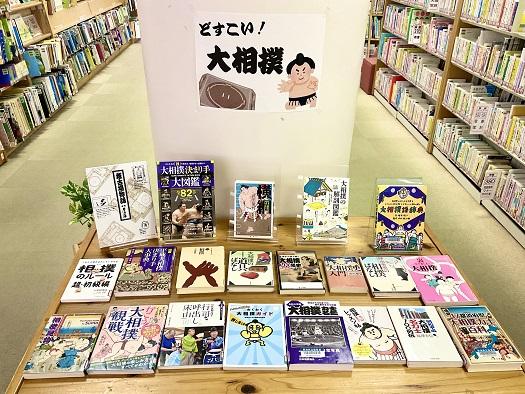 どすこい大相撲