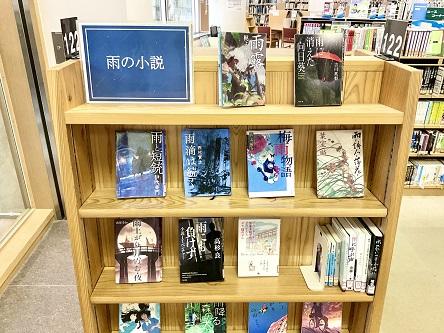 雨の小説