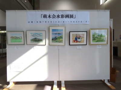 ギャラリー展示の様子です