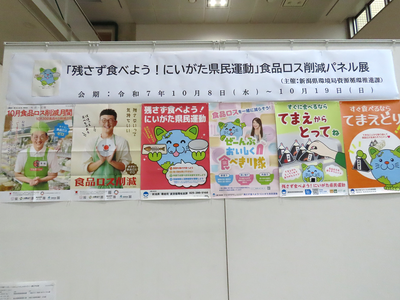 ギャラリー展示の様子