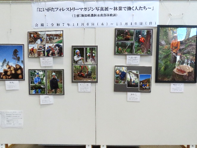 ギャラリー展示の様子