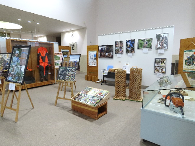 ギャラリー展示の様子