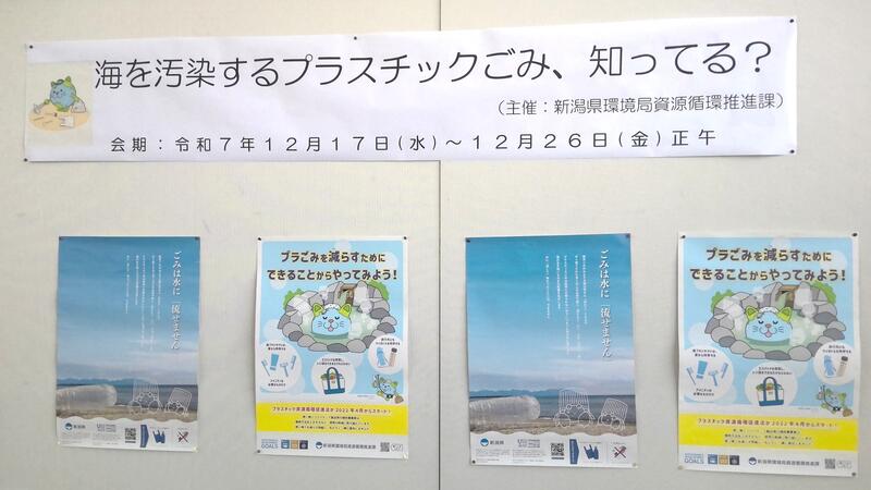 ギャラリー展示の様子