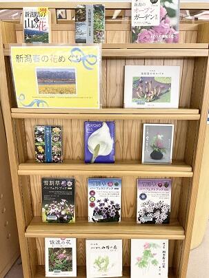 新潟春の花めぐり