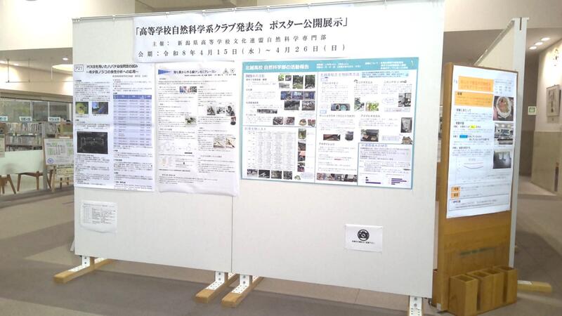 ギャラリー展示の様子