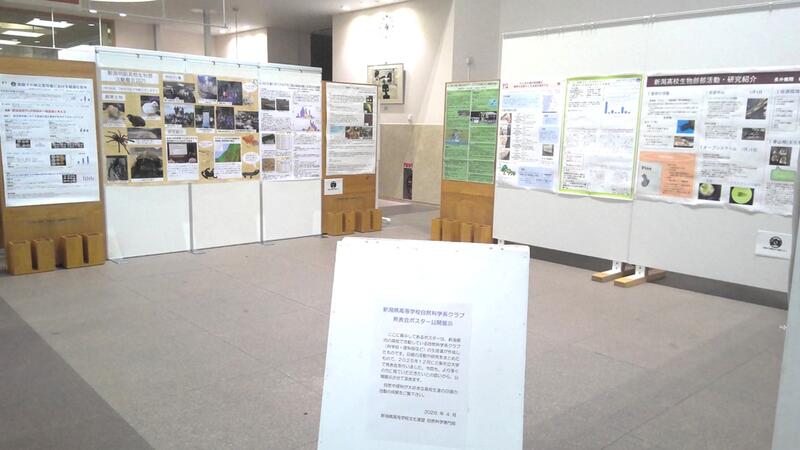 ギャラリー展示の様子