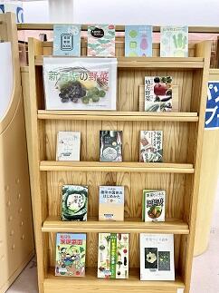 新潟県の野菜