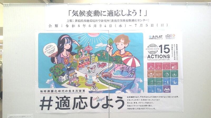 ギャラリー展示の様子