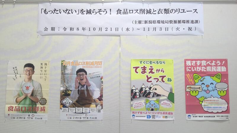 ギャラリー展示の様子です